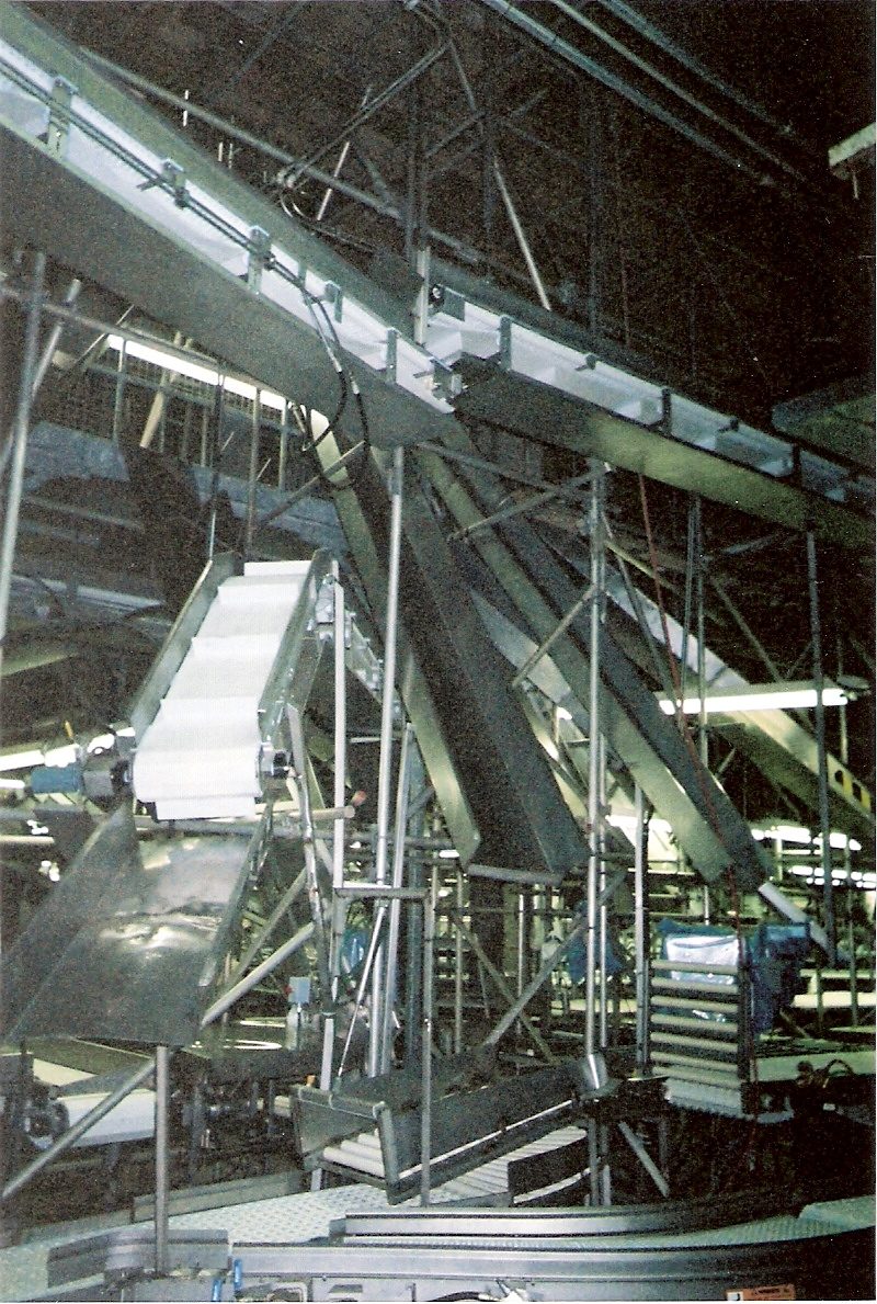 Olymel scaffolding project